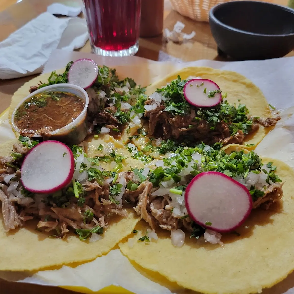 Carnitas Taco Birria Taco