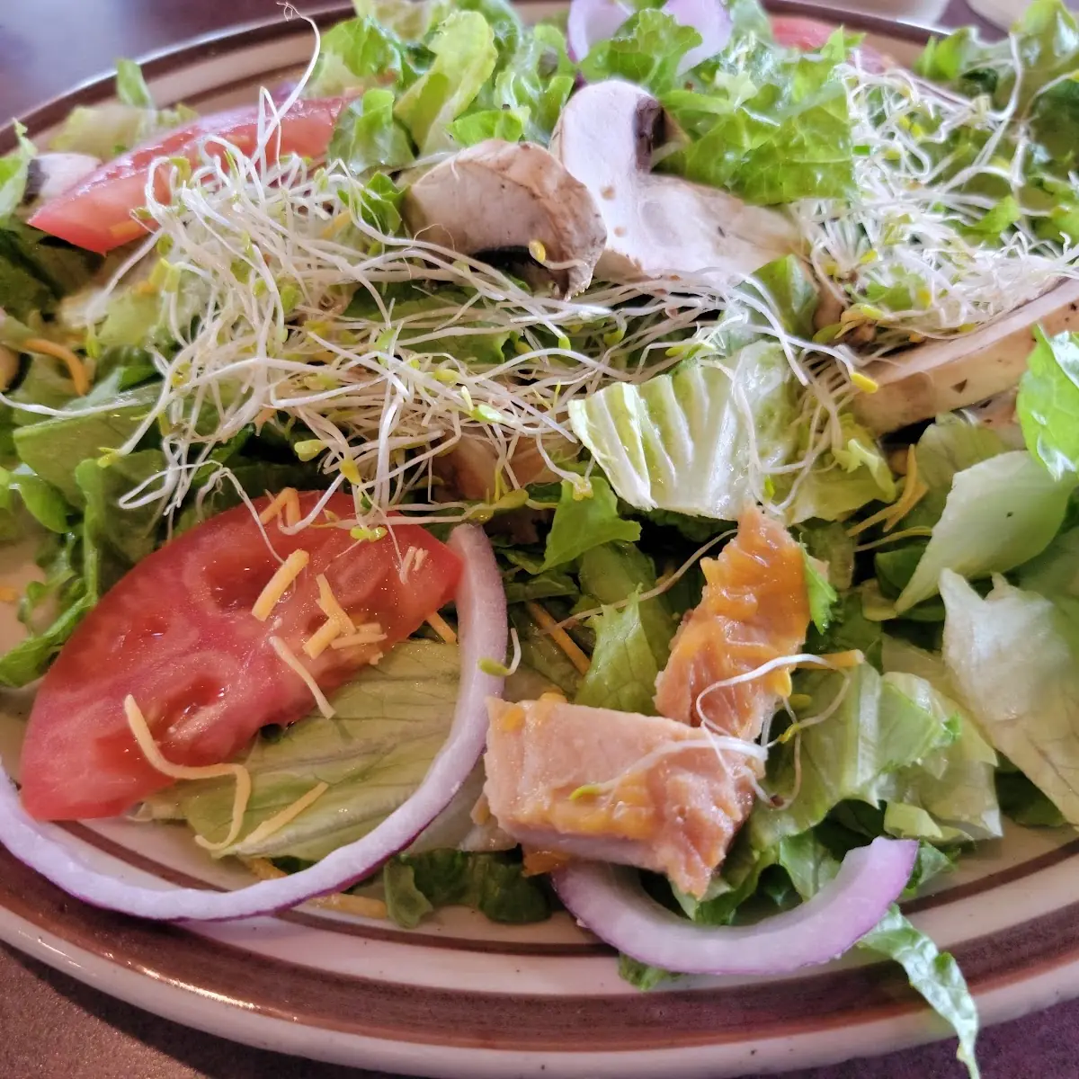 Grilled Chicken Salad