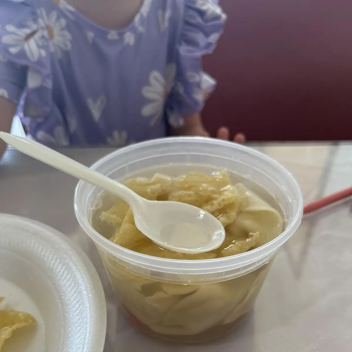 Wonton Soup