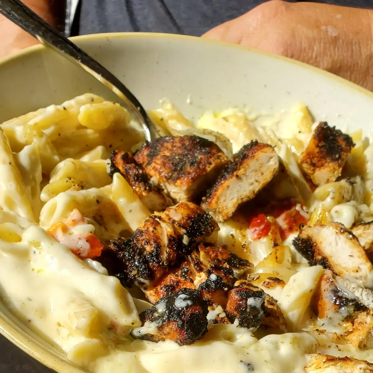 Chicken Alfredo with Penne