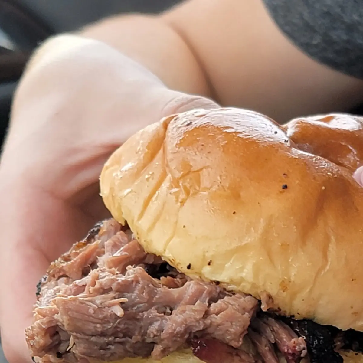 Brisket Sandwich and Fresh Cut Fries