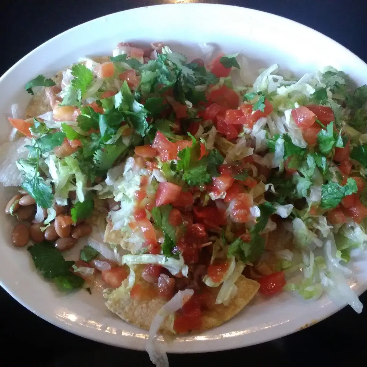 Whole Bean Tostada Vegan Style