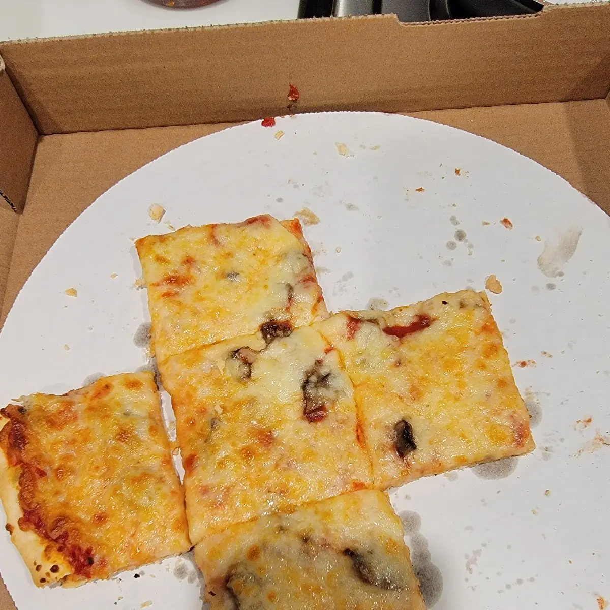 Mushroom Pizza