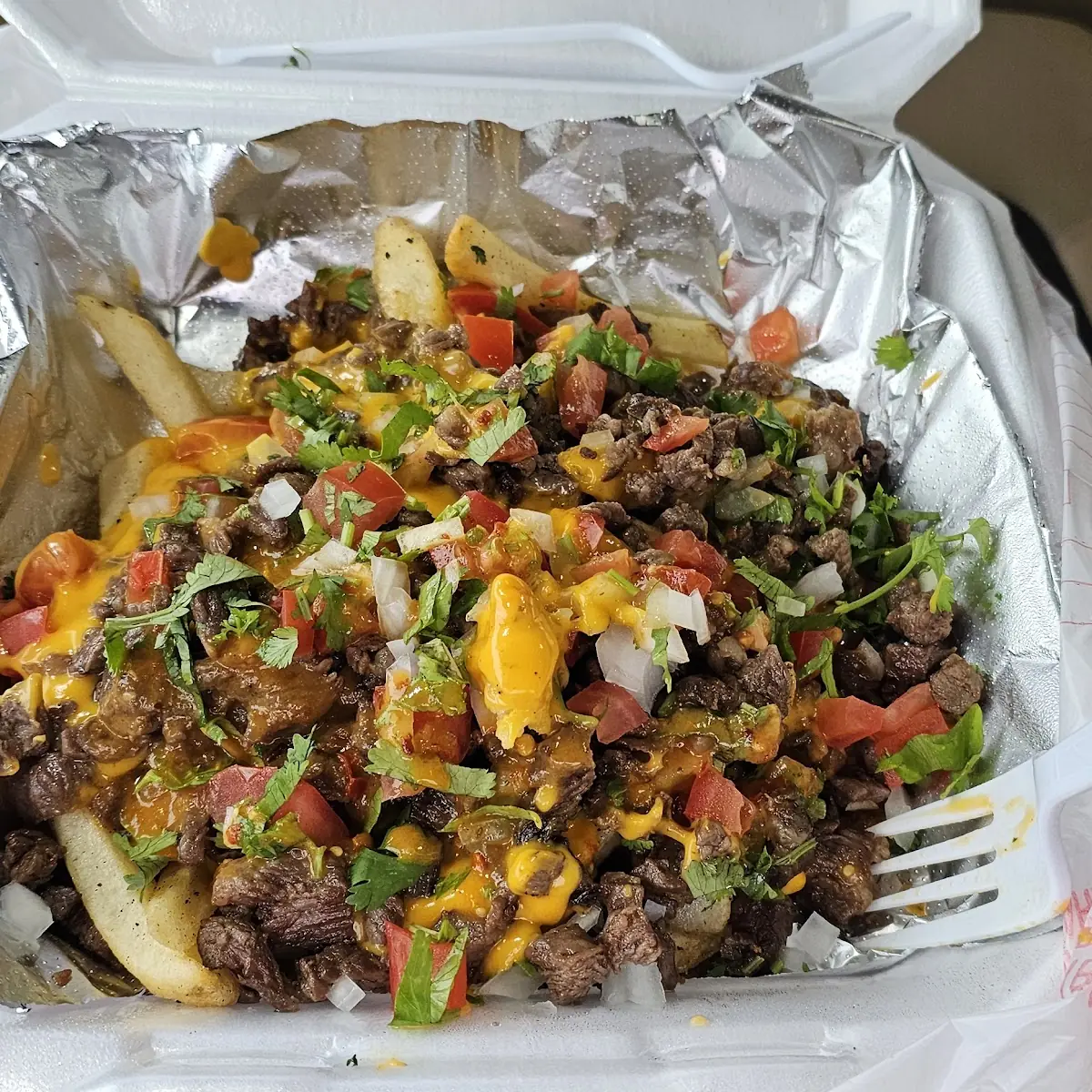Carne Asada Fries
