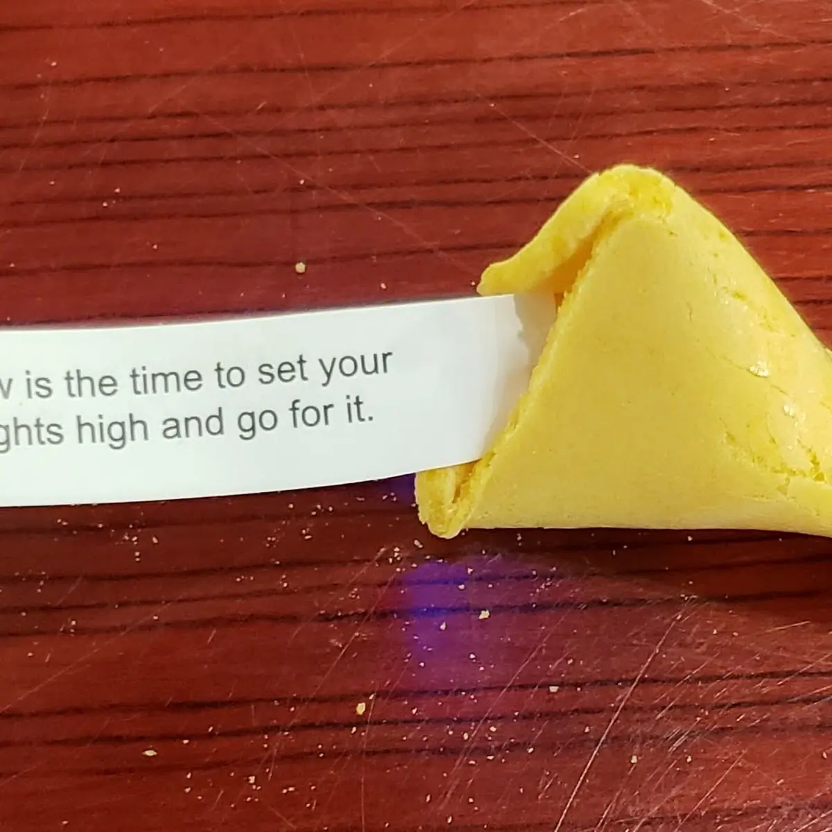 Fortune Cookie 1 Piece