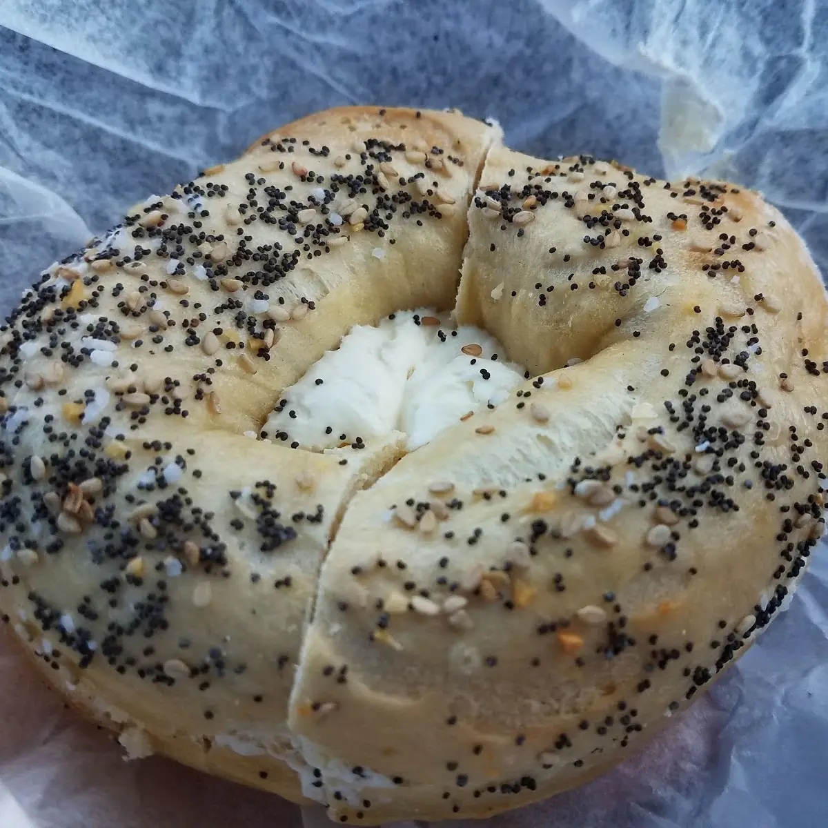 Everything Bagel with Cream Cheese
