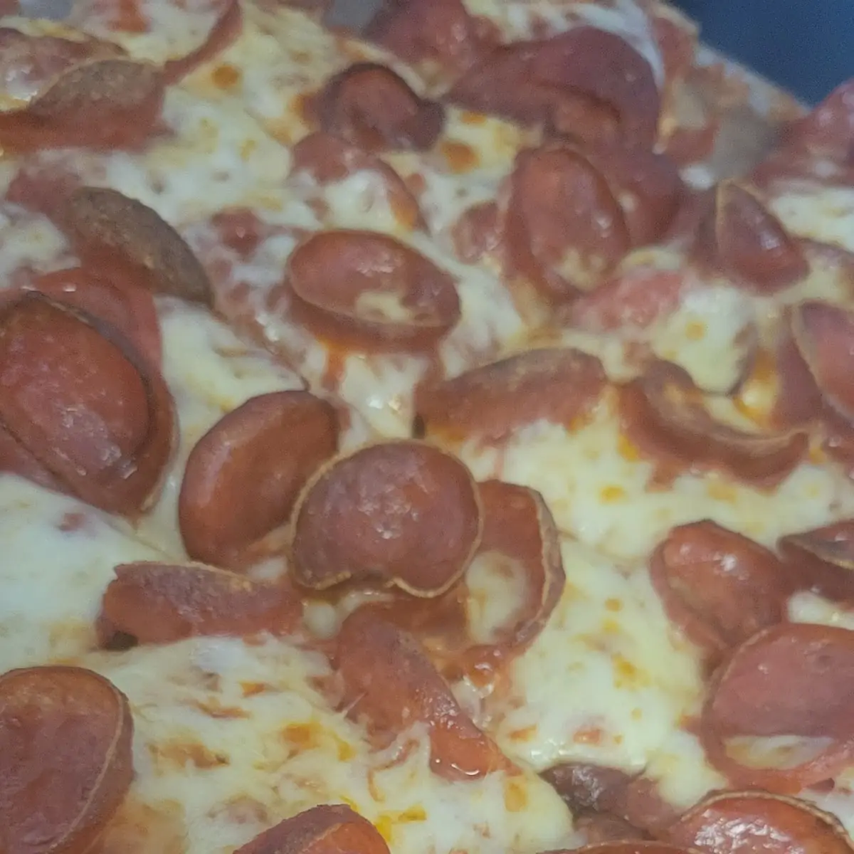 Extra Cheese Pizza