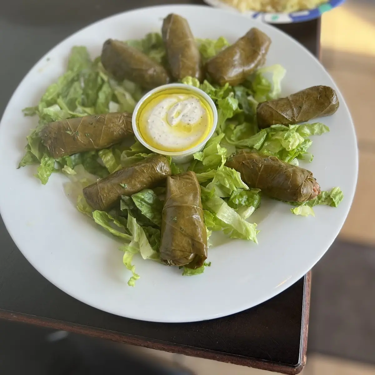 Stuffed Grape Leaves Dolmas