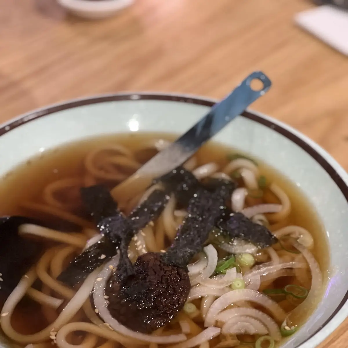 Udon Noodle Soup