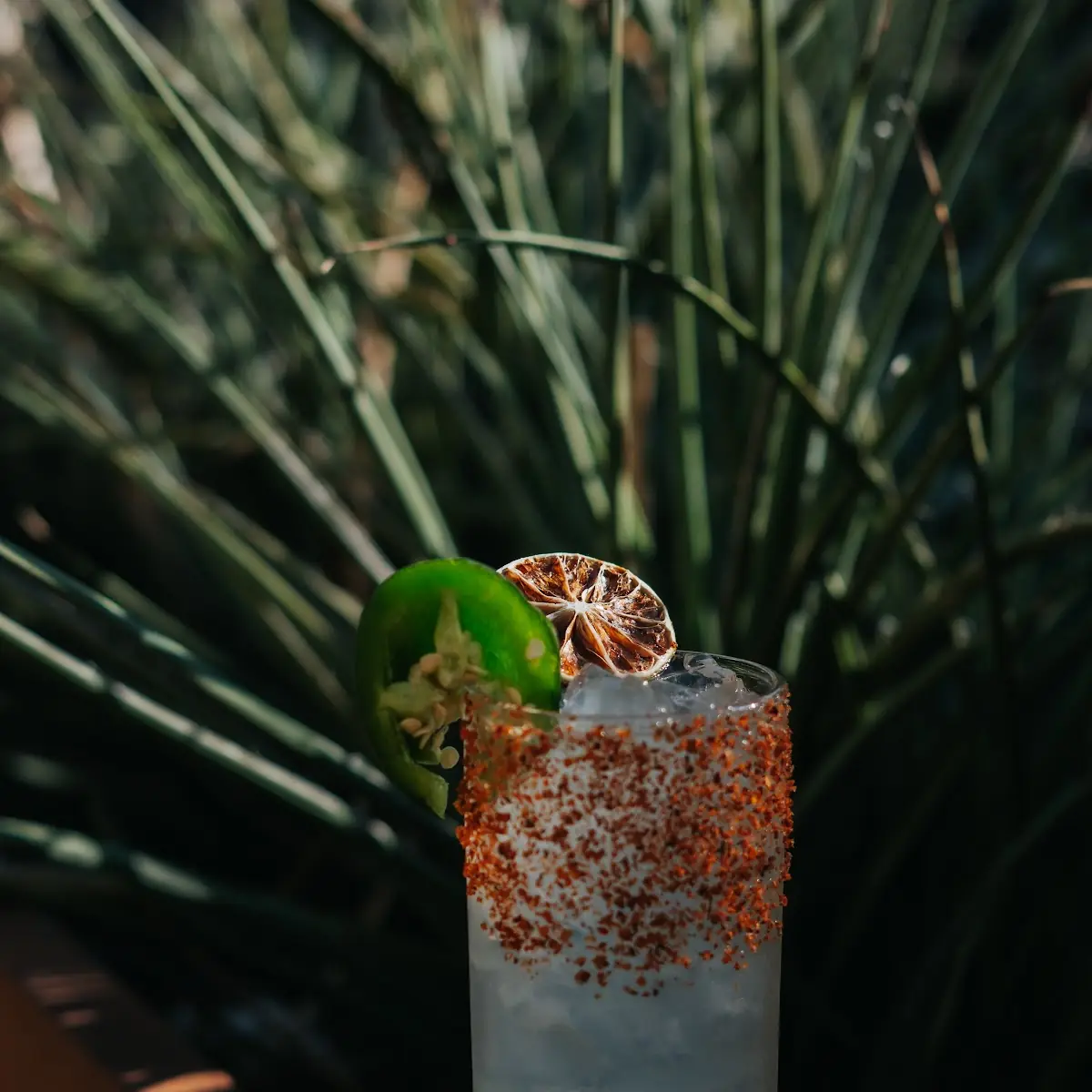 House Margarita