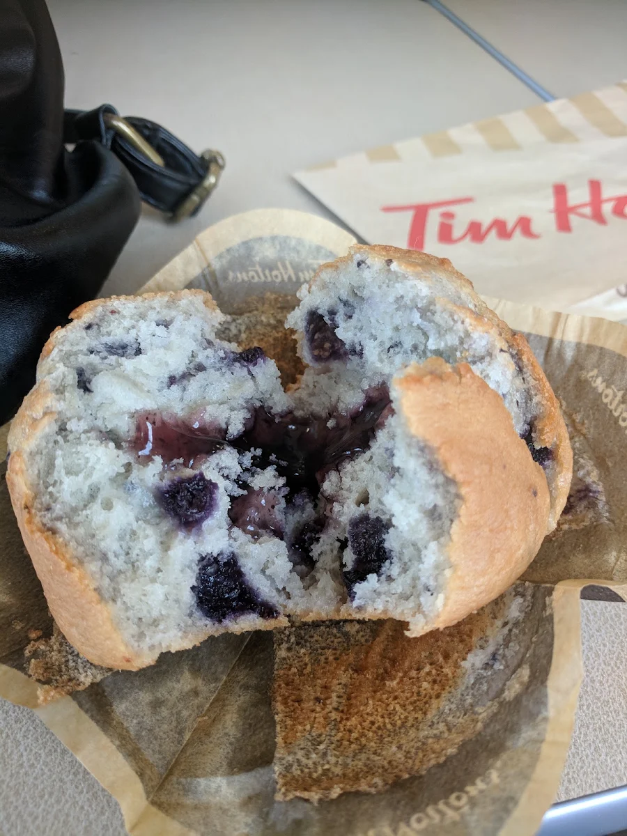 Blueberry Muffin