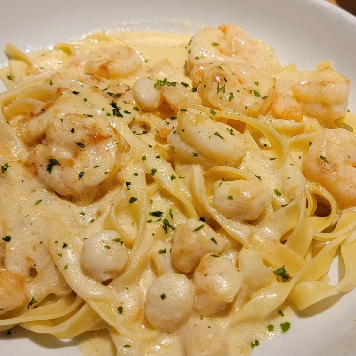 Shrimp Alfredo