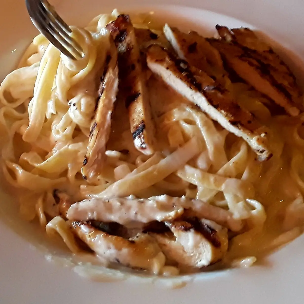 Grilled Chicken Alfredo