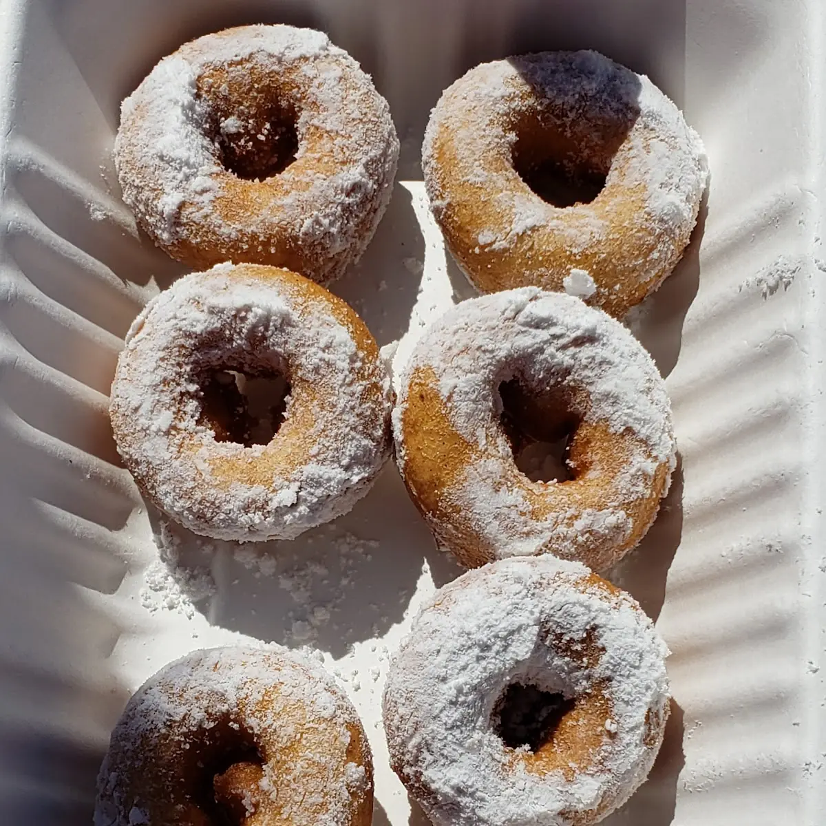 Doughnut