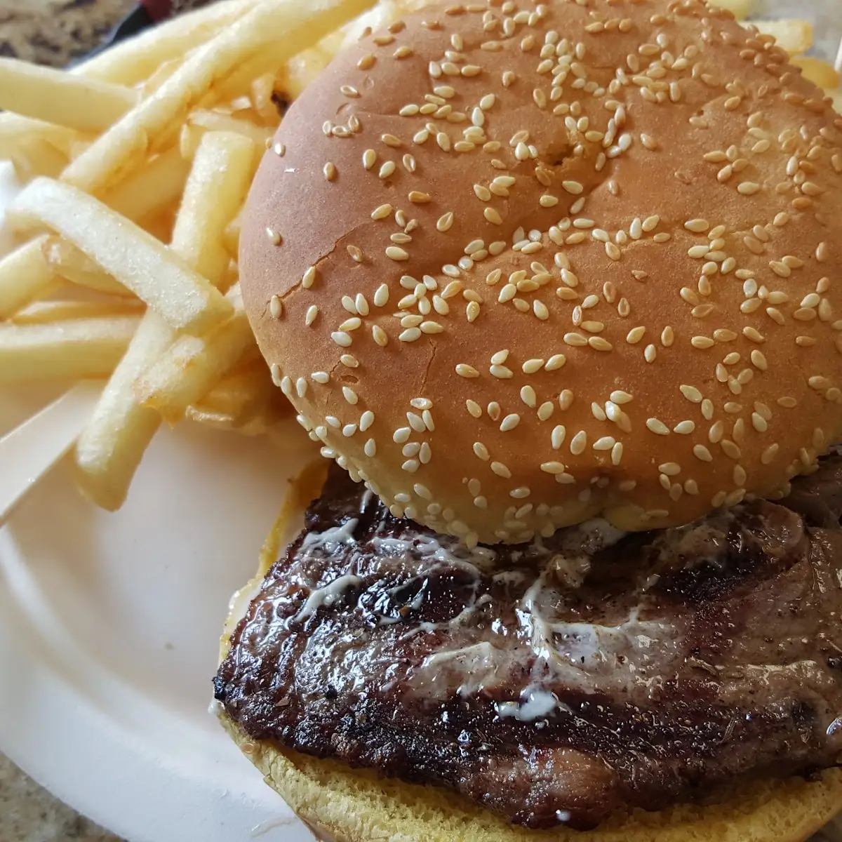 Steak Sandwich