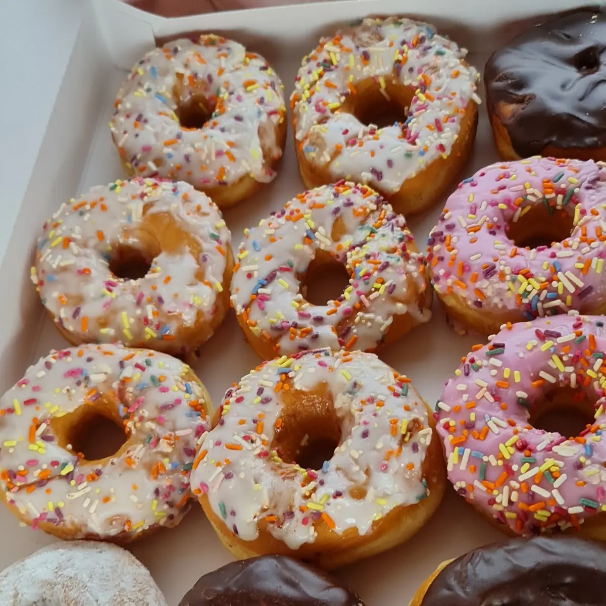 Doughnut