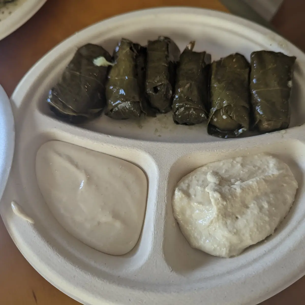 Stuffed Grape Leaves 6