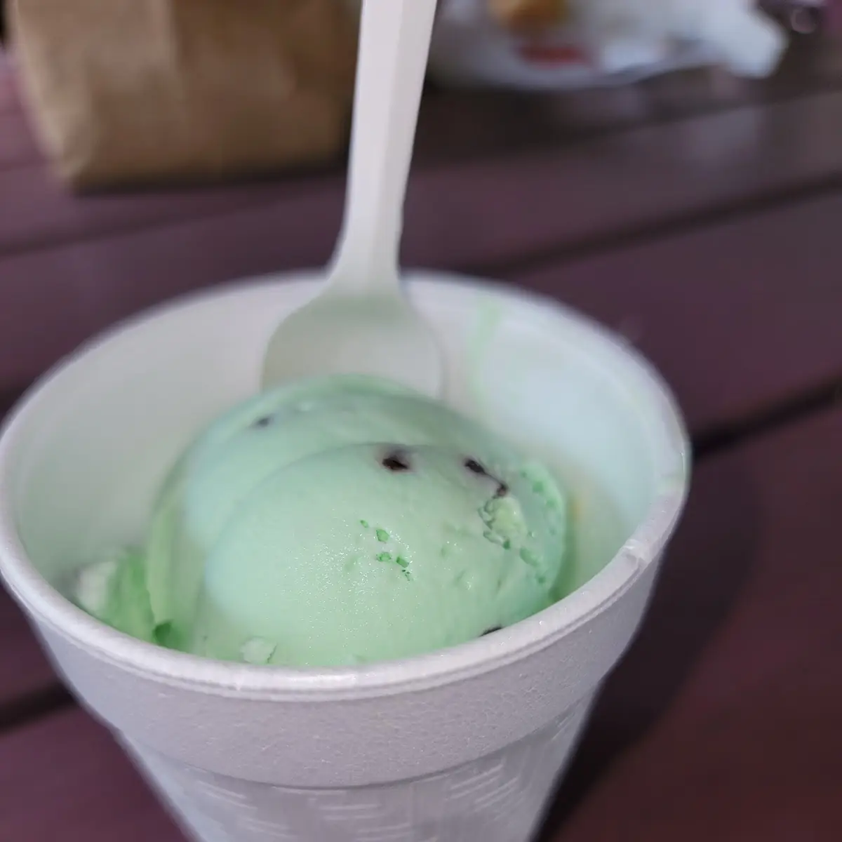 Chocolate Chip Mint