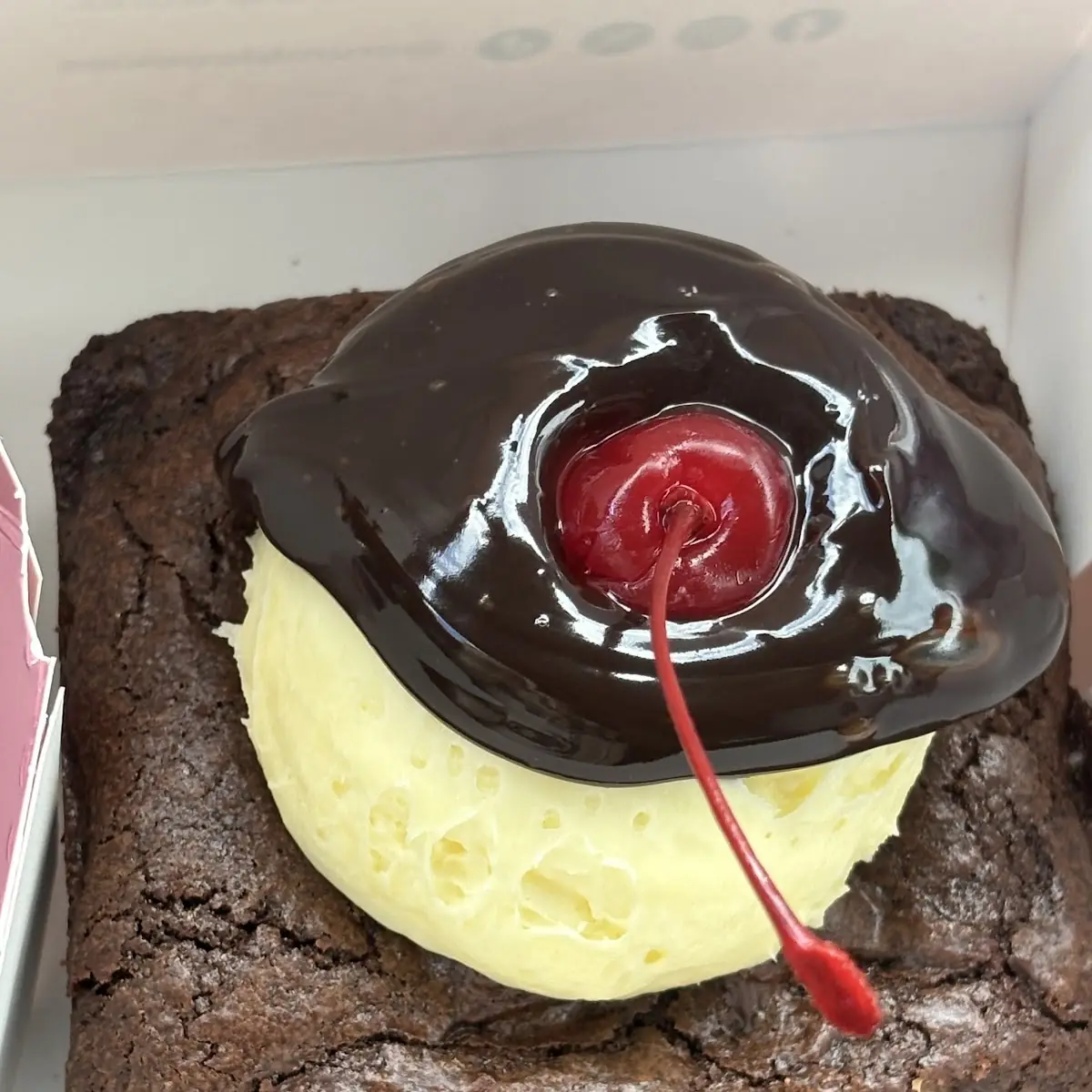 Chocolate Brownie