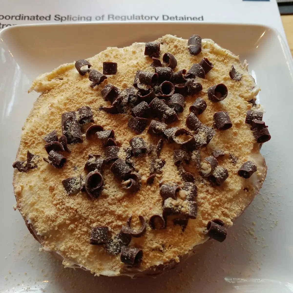Chocolate Chip
