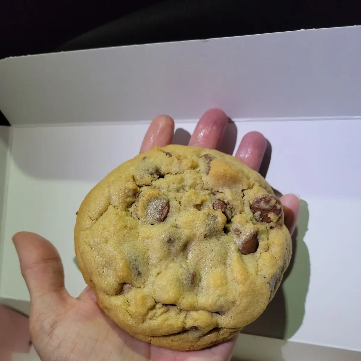 Chocolate Chip Cookie