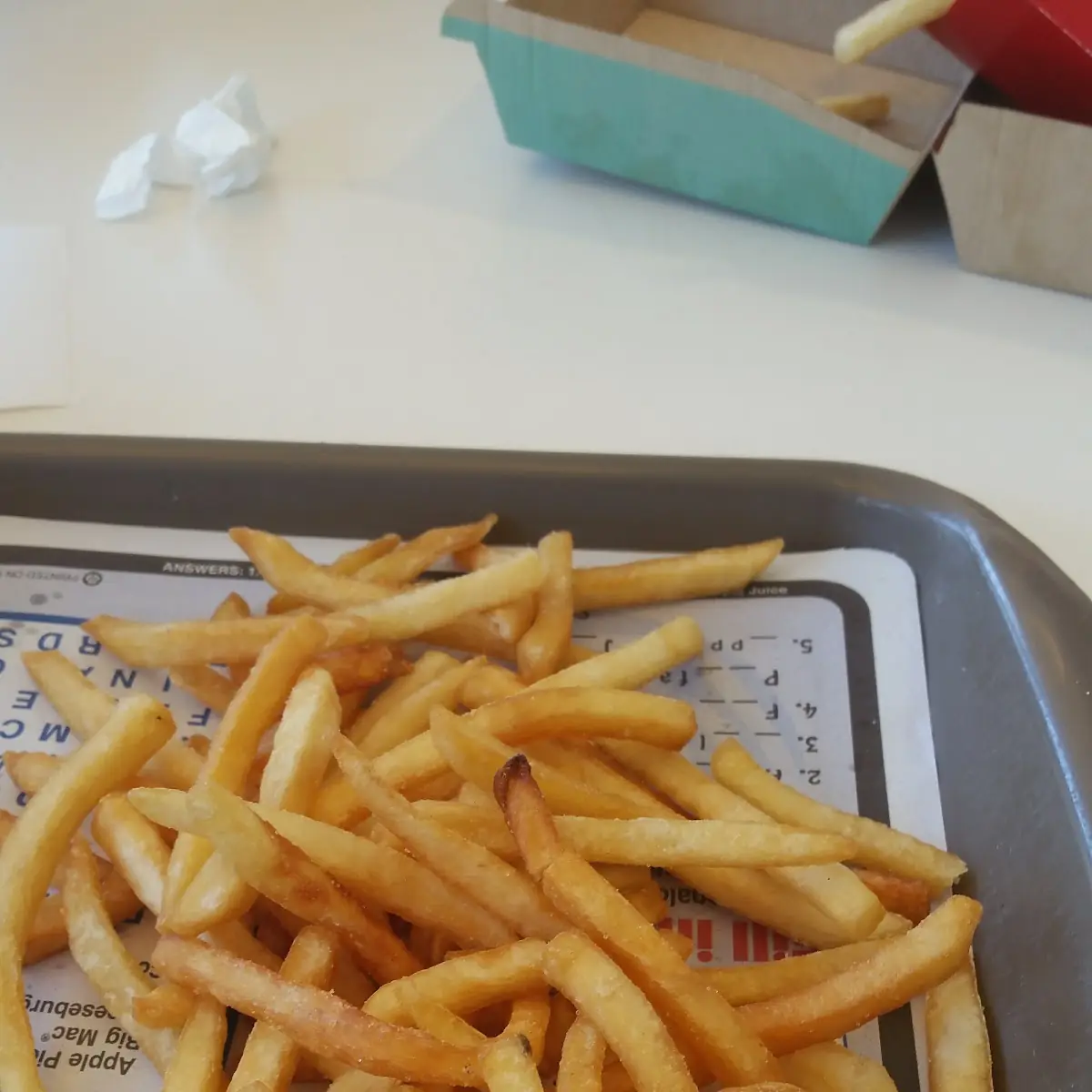 World Famous Fries