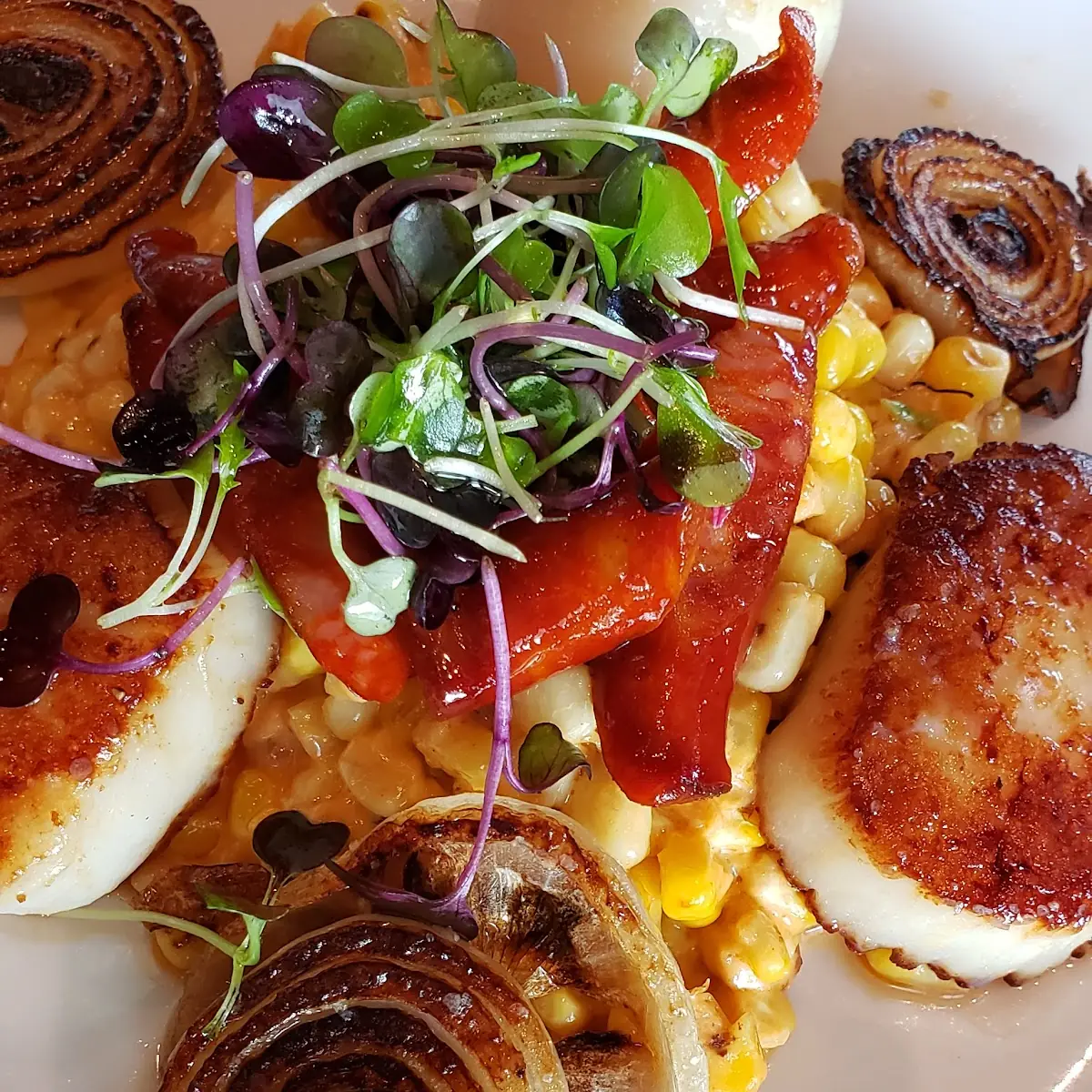 Sea Bass & Scallops