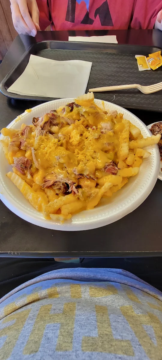 Pulled Pork with Cheese Fries