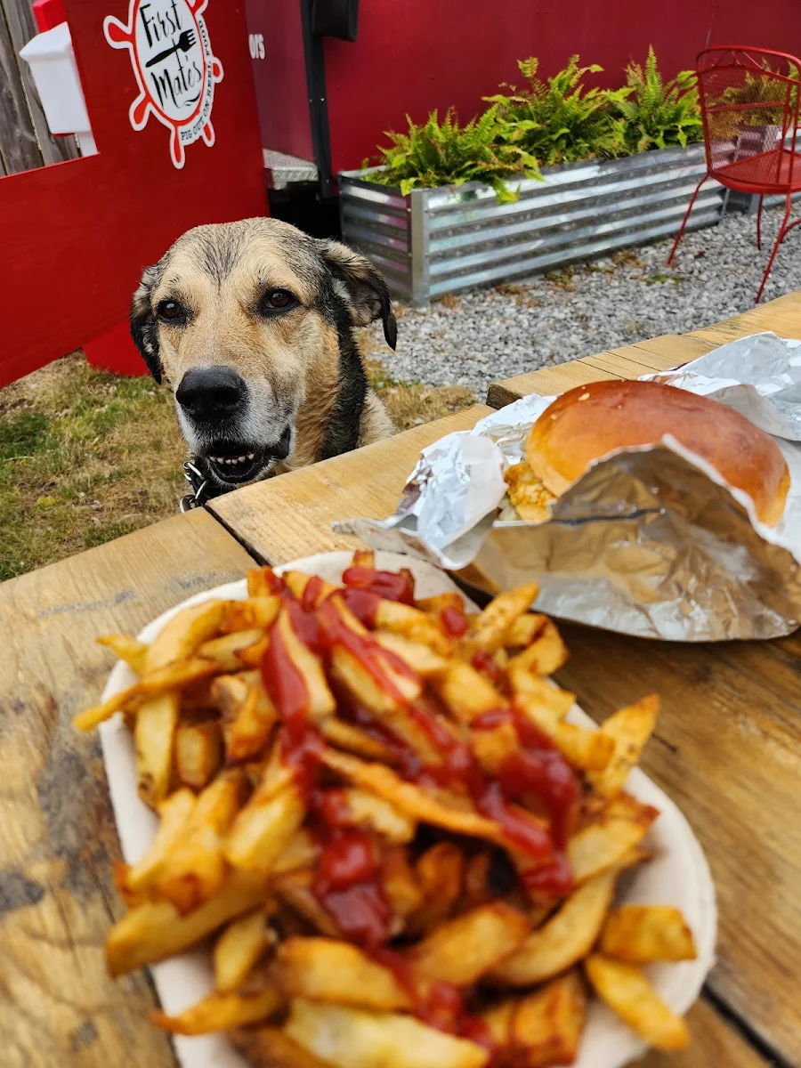 Perch Sandwich and Fries