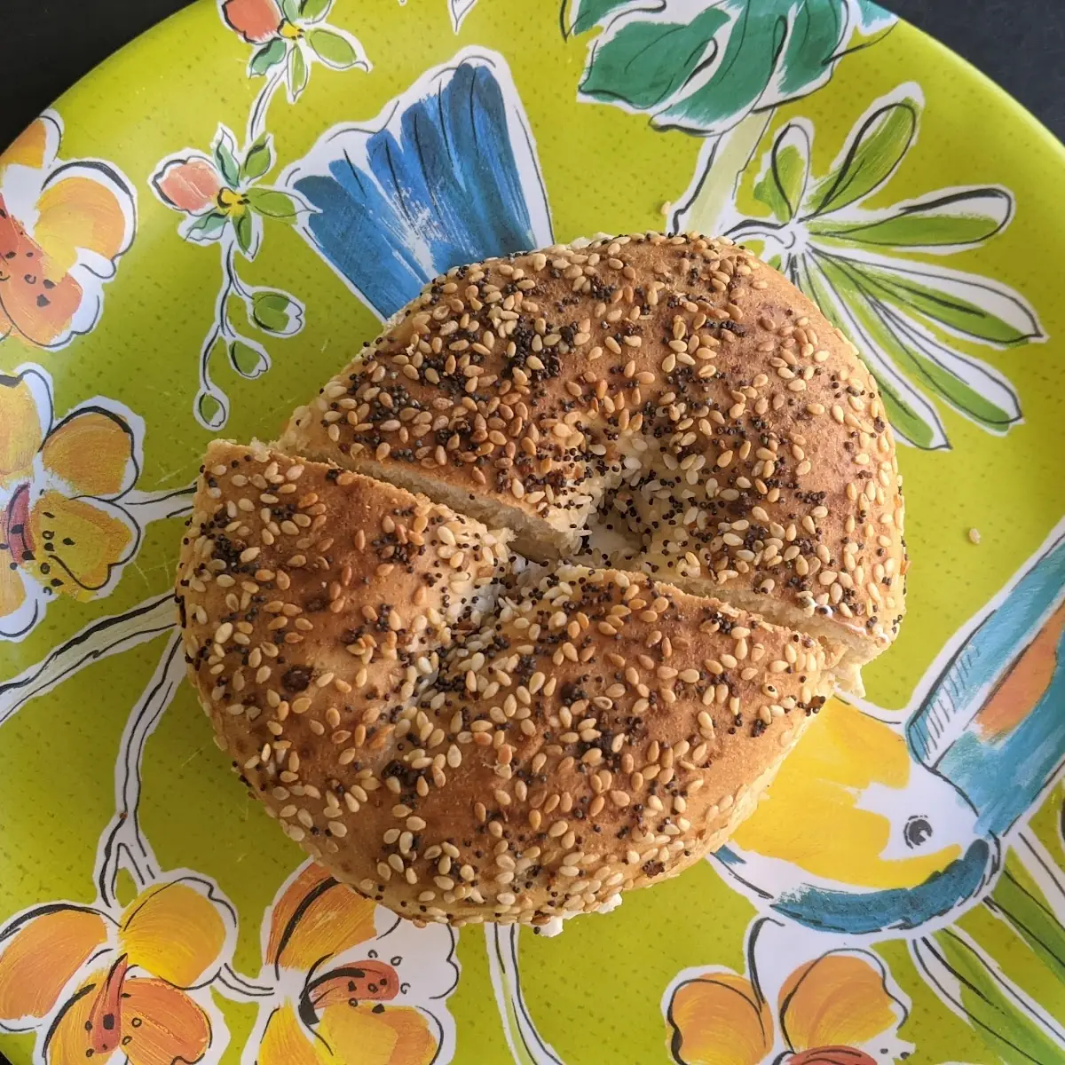 Toasted Everything Bagel