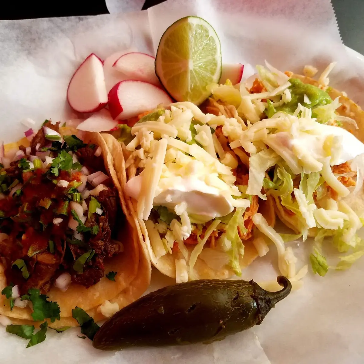 Chicken and Carnitas Tacos