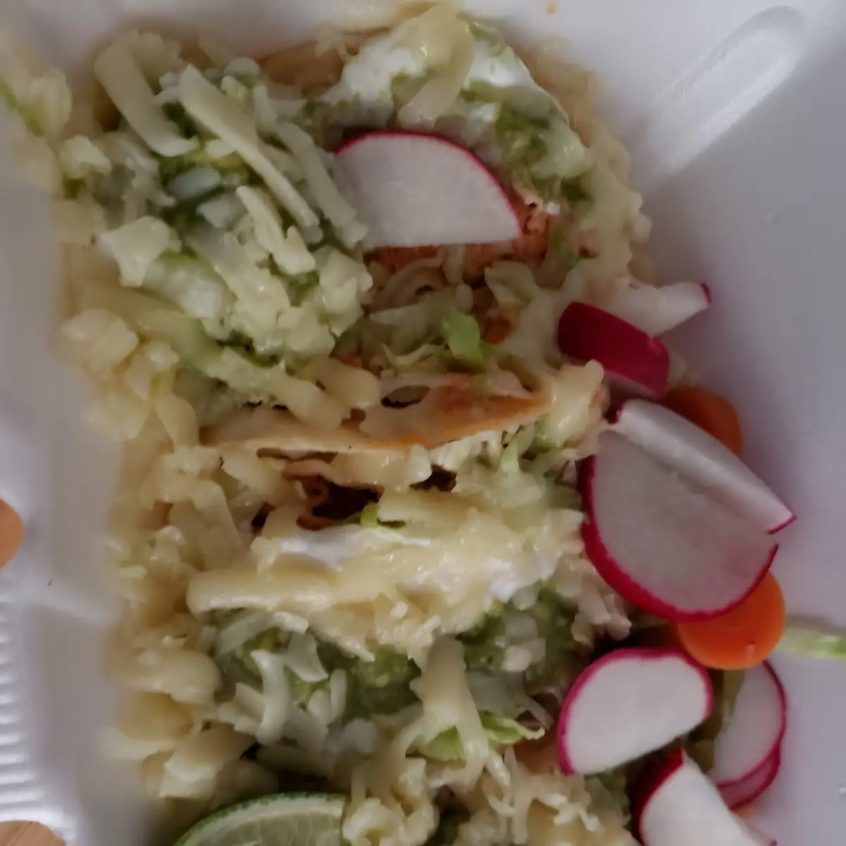 Shredded Chicken Tacos