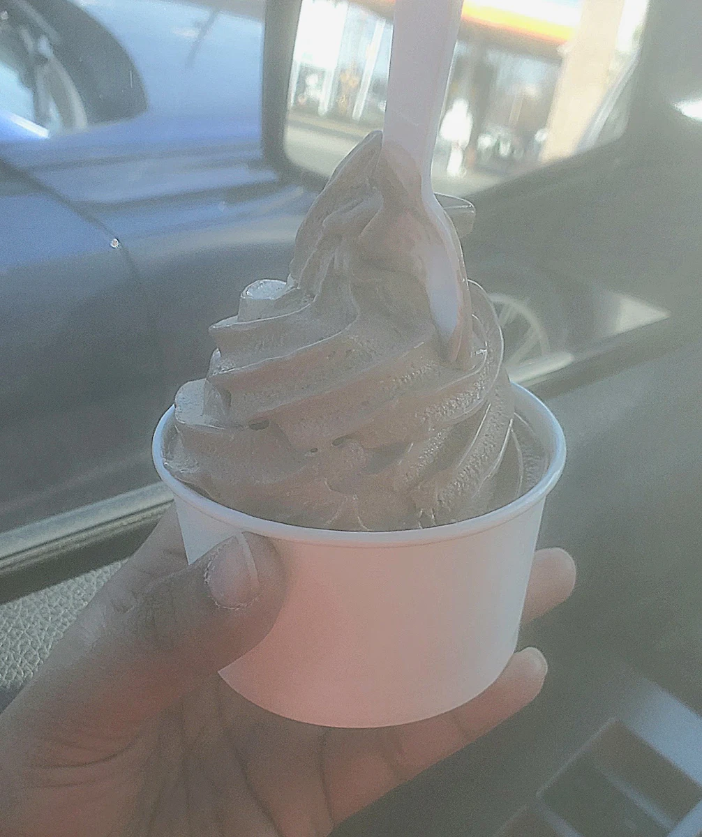 Chocolate Ice Cream