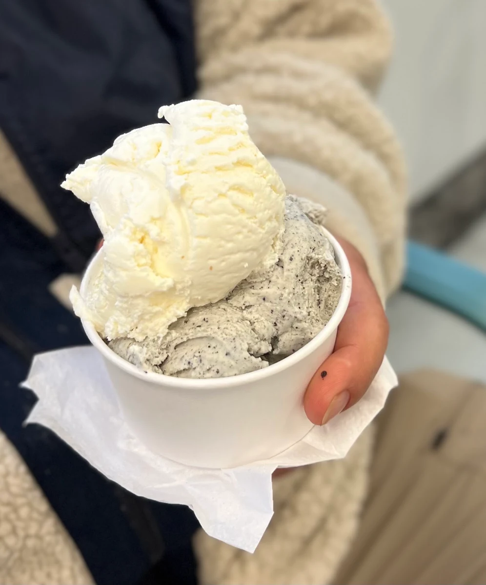 Vanilla Ice Cream with Cookie Pieces