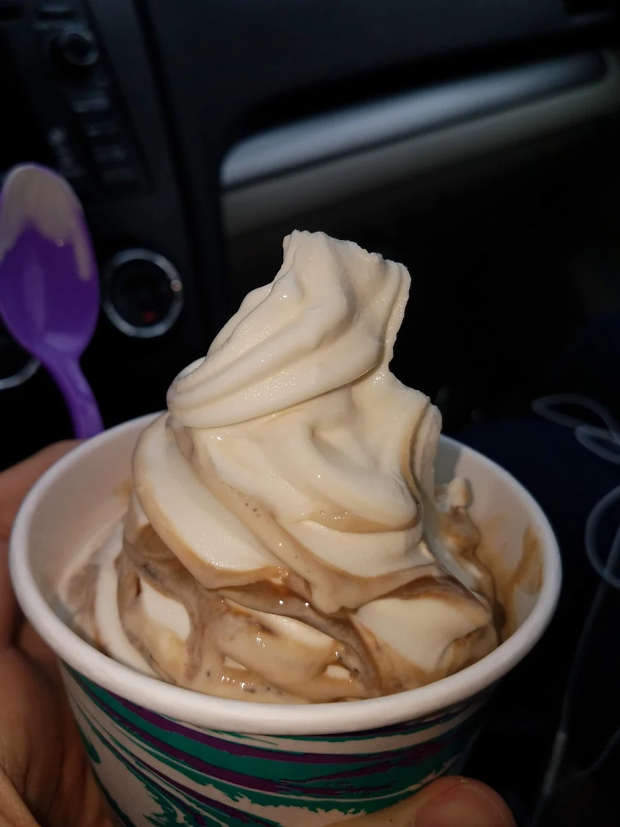 Frozen Yogurt