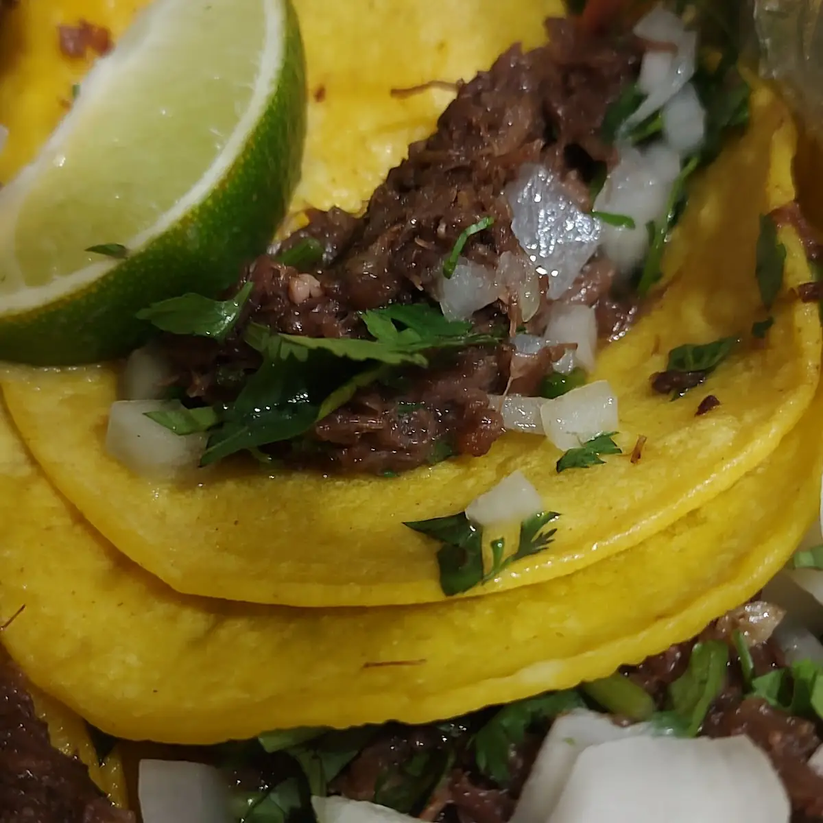 Barbacoa Tacos