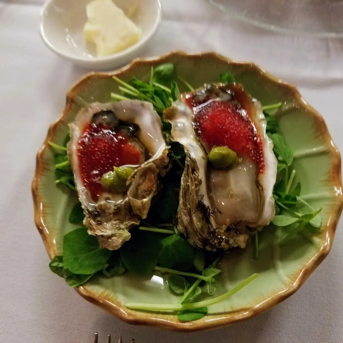 Chilled Shigoku Oysters on the Half Shell