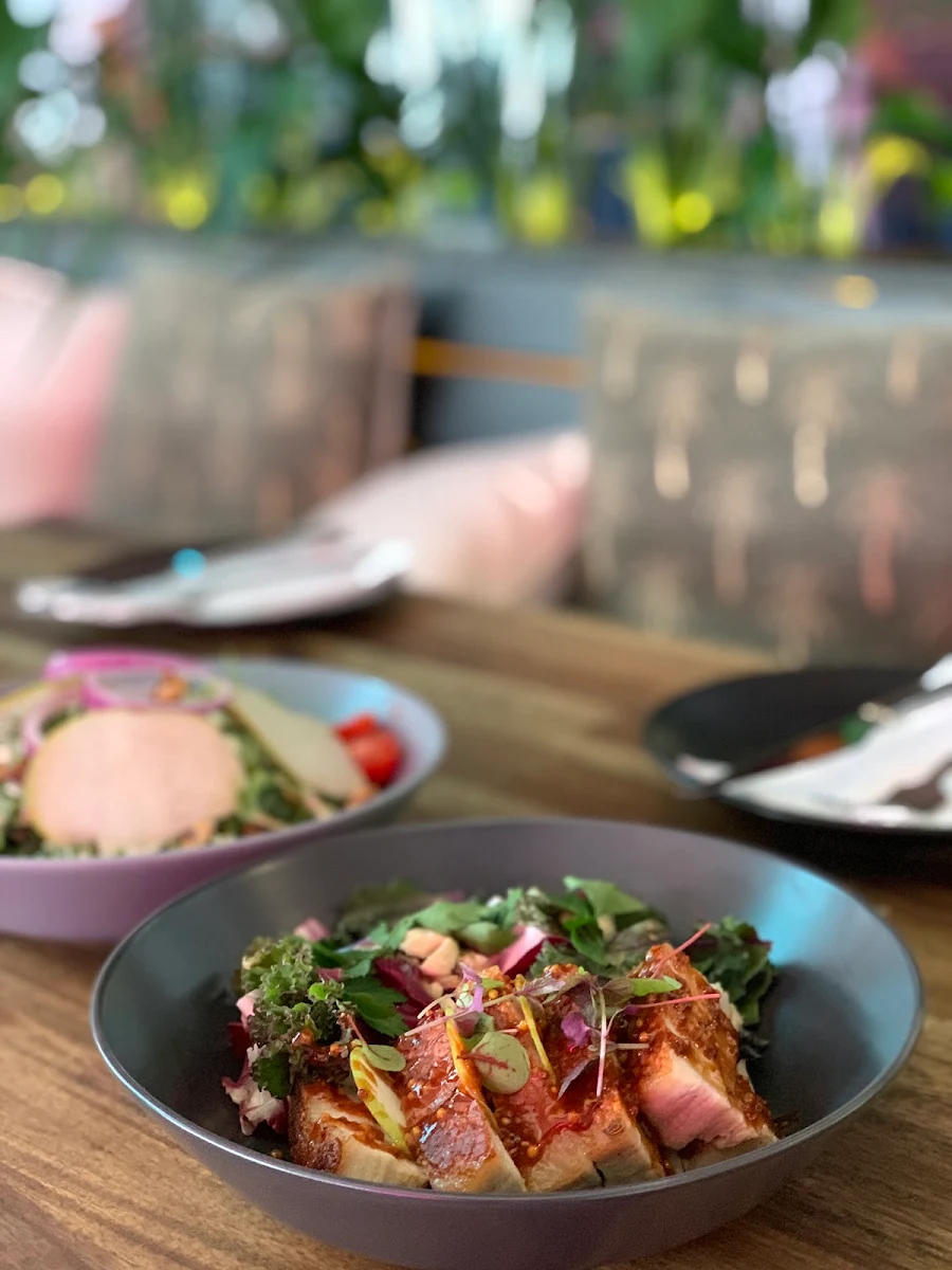 Highlights, Bo'teku is now Trading as Bondi Grille Seafood & Steakhouse