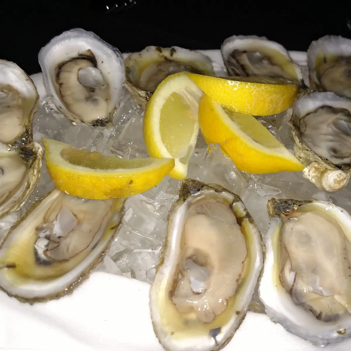 Fresh Oysters