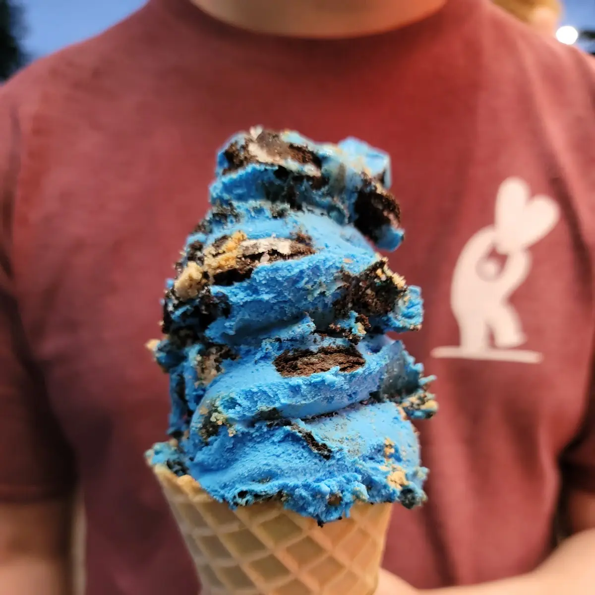 Cookie Monster