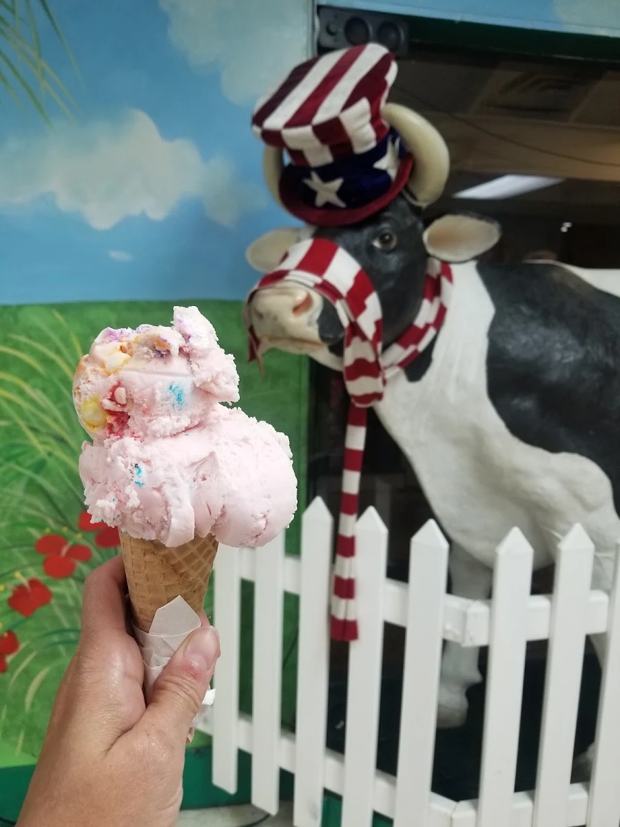 Bubble Gum Ice Cream Cone