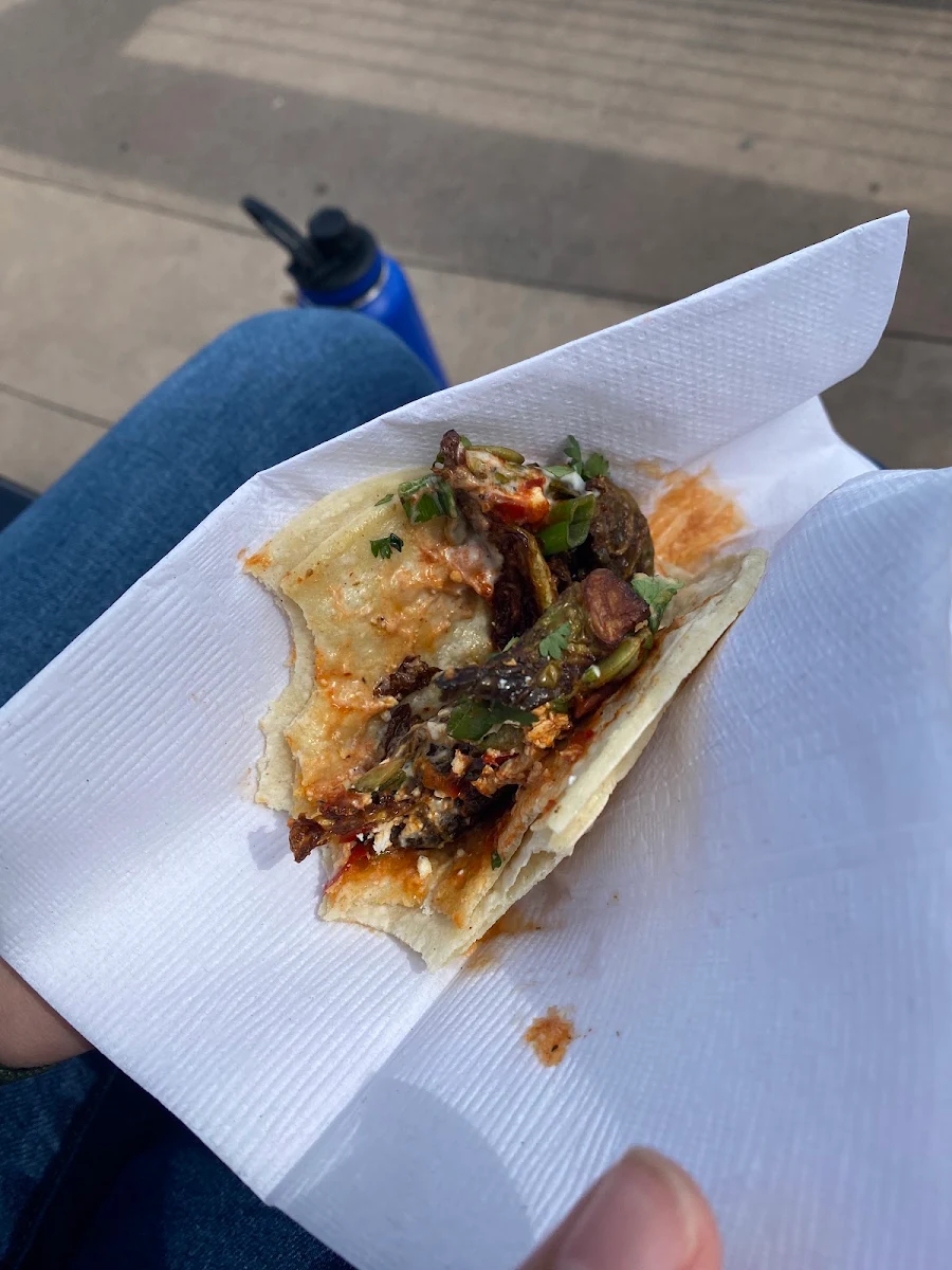 Birria Foldies, The Mule Burlington (Formerly Burro)