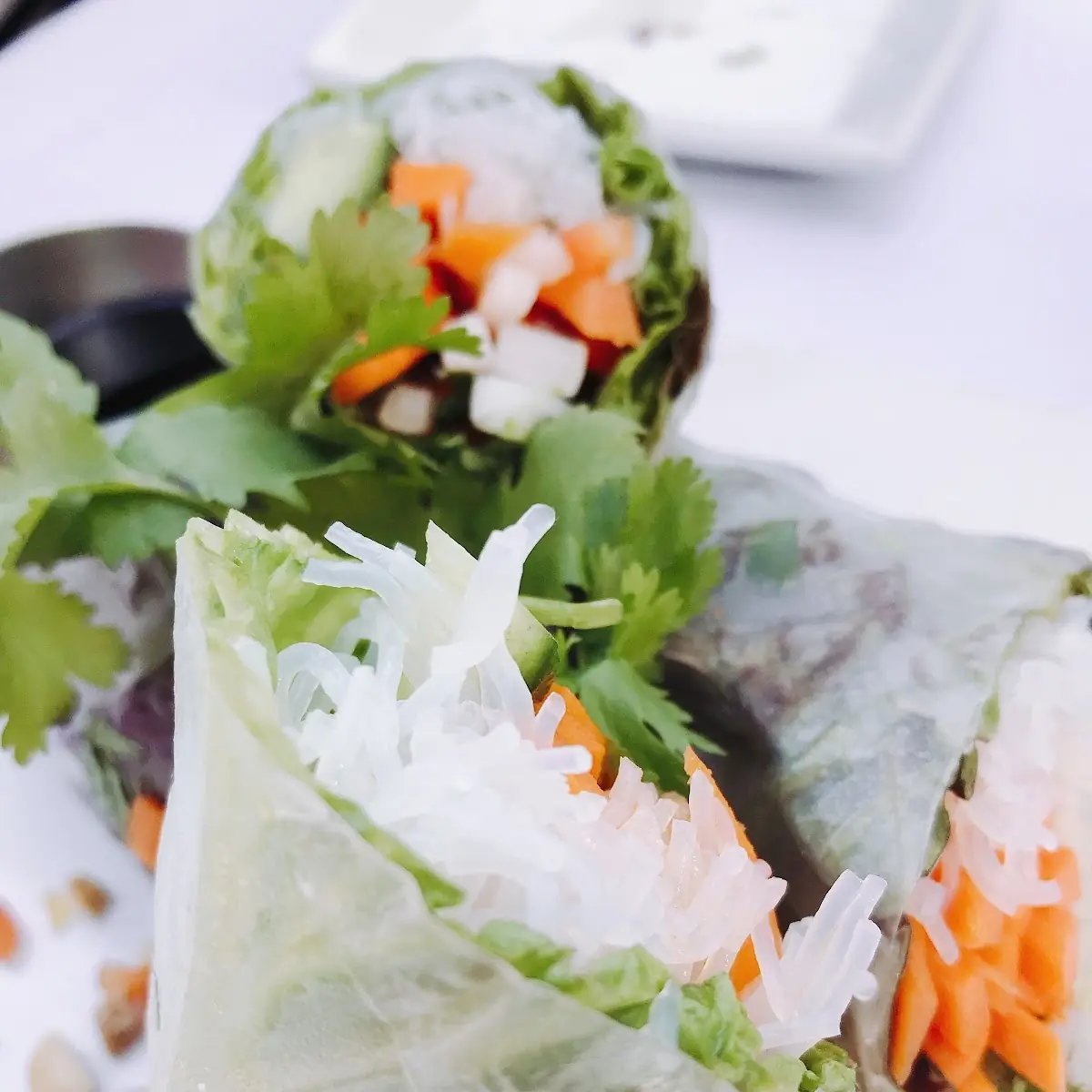 Fresh Avocado-Shrimp Spring Rolls