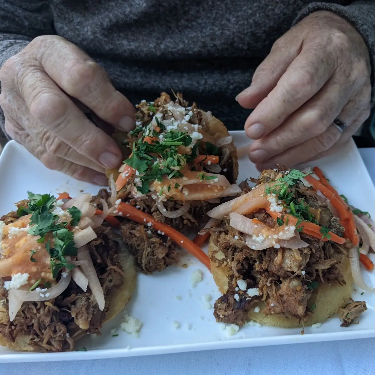 Pork Carnitas Sopes