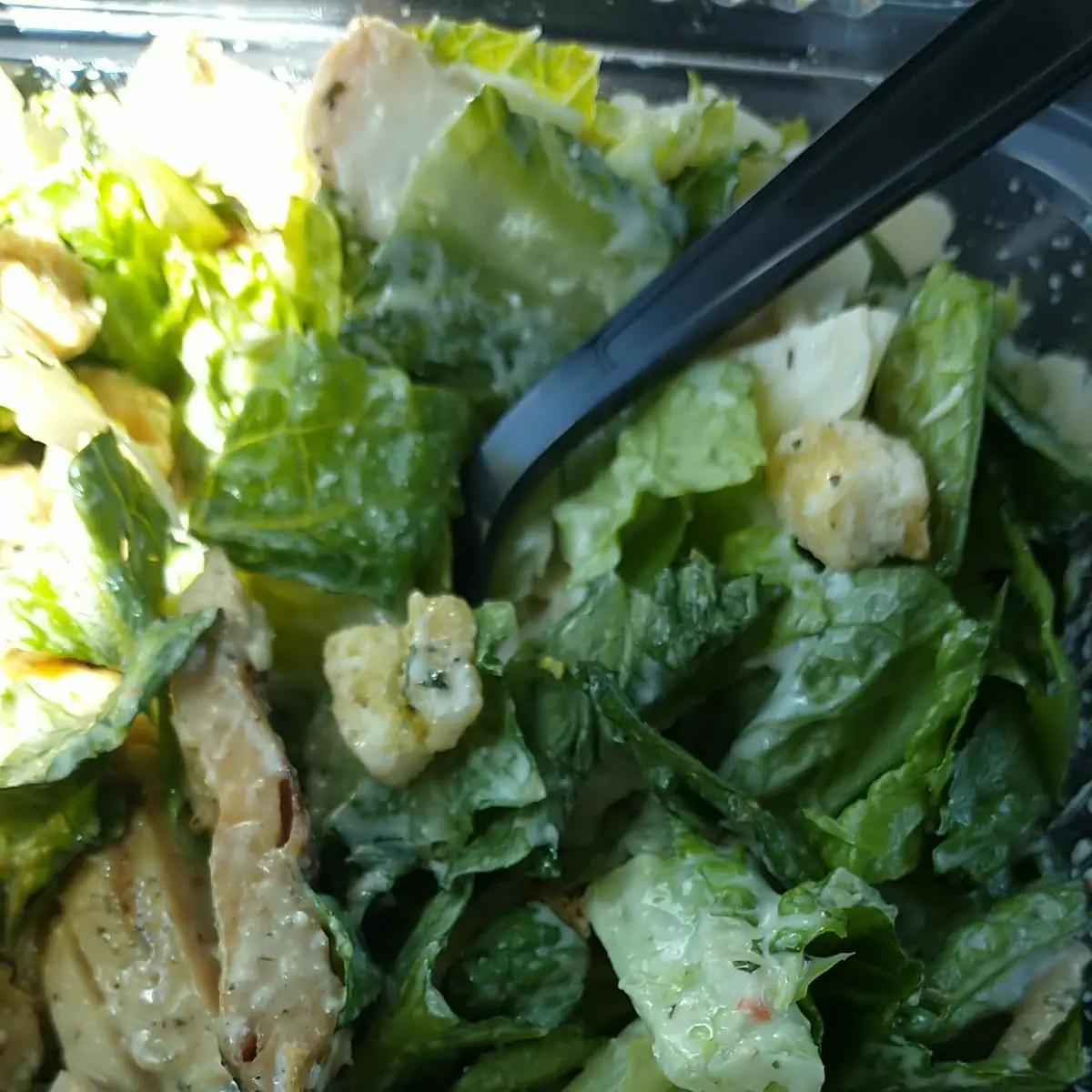 Chicken Caesar Salad