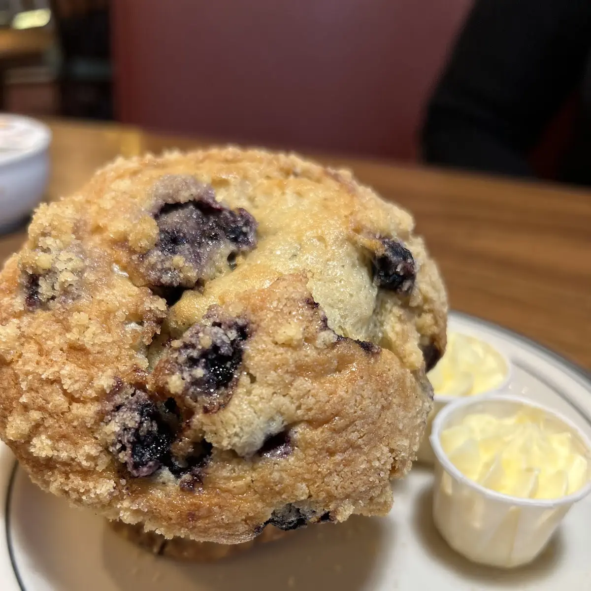Hot and Fresh Blueberry Muffin