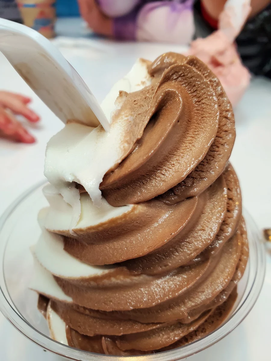 Chocolate Ans Vanilla Ice Cream