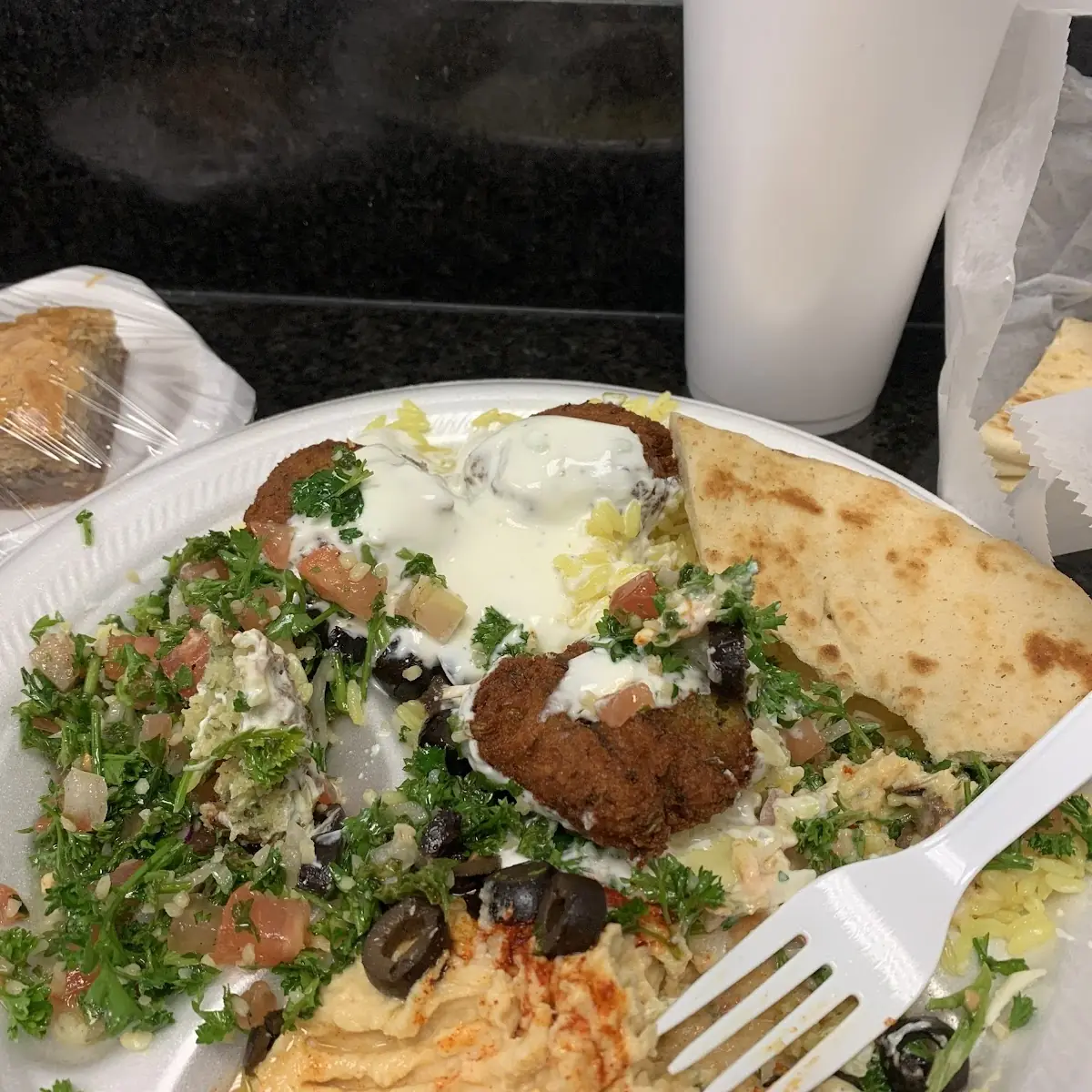 22- Falafel Plate