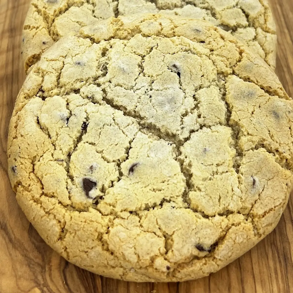 Homemade Chocolate Chip Cookie