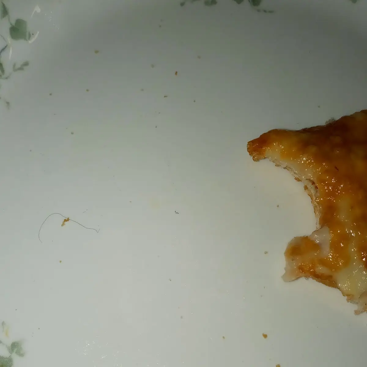 Hair in My Pizza